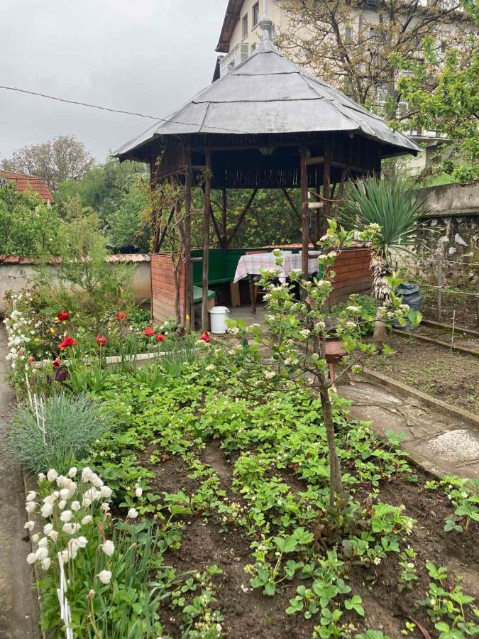 Vila Venera Velingrad Exterior photo